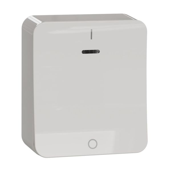 Kontrollstromstiller Schneider Electric Exxact 250 V, utenpåliggende 2-polet omkobler
