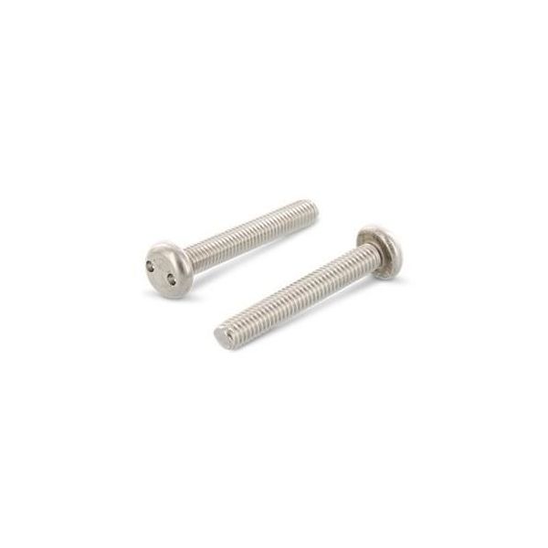 Säkerhetsskruv Schäfer & Peters 91012420 M4, med cylinderhuvud, A2, 100-pack M4 x 20 mm