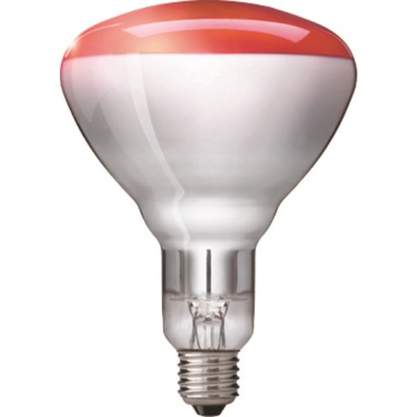 IR-lampa Philips BR125 röd, E27 250W