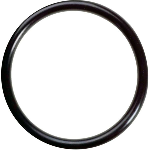 O-ring Testo 36607015 20-pack 
