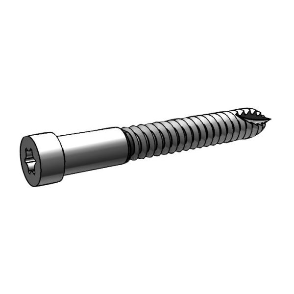 Træskrue ESSVE Indu-Prog 100-pak 8,0 x 58 mm
