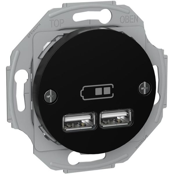 Latausasema Schneider Electric Renova WDE011761 2 USB, musta 