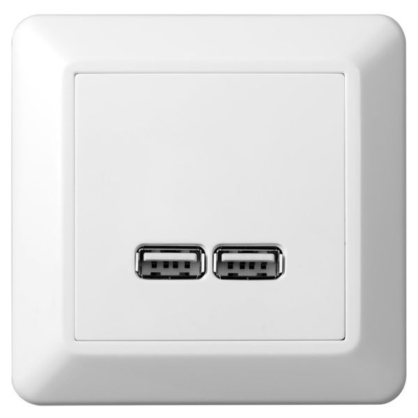 Ladekontakt Elko EKO30141 renhvit, USB 
