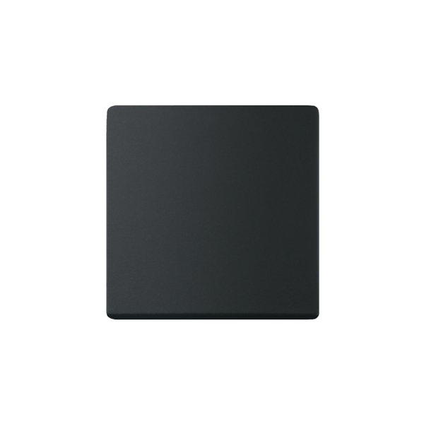 Enkeltvippe ABB 1786-885-500 matt svart 