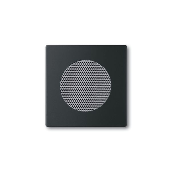 Centrumplatta ABB Impressivo 8253-885 matt svart, för högtalare 