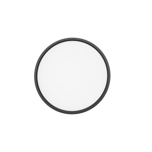 Plafond Aneta Lighting RING 15/300 Ø30 cm, 15 W 