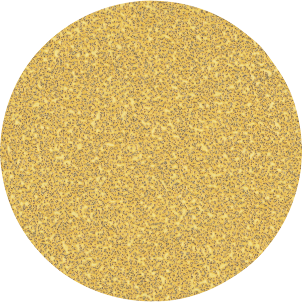 Sandpapir Bosch Expert C470 Ø 125 mm. 50-pak Ø 125 mm Uden huller K40 50-pak