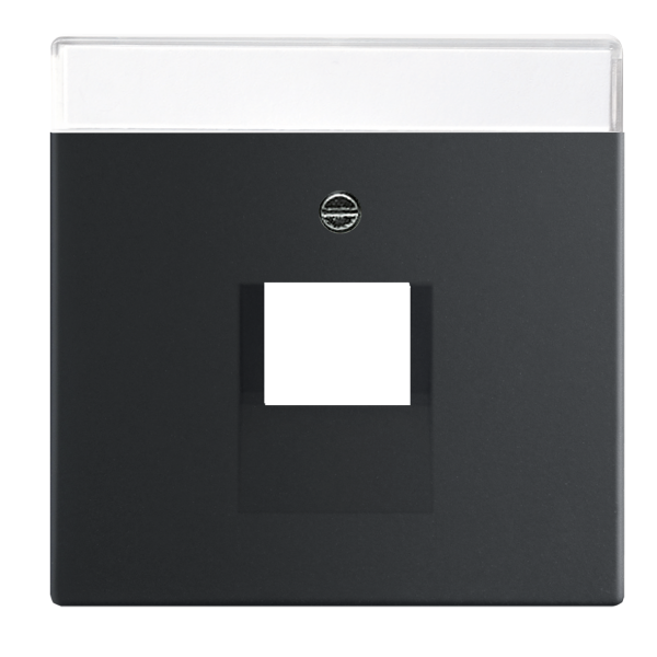 Centrum platta ABB 2CKA001710A3912 matt svart 