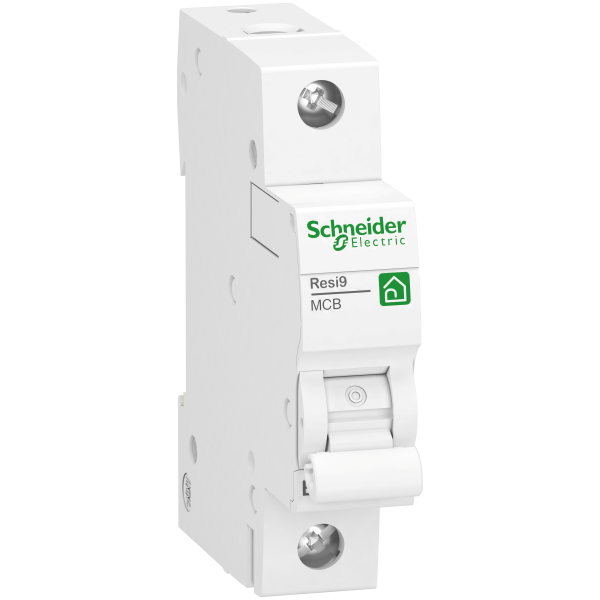 Dvärgbrytare Schneider Electric R9F23113 6 kA vid 240 V AC 13 A