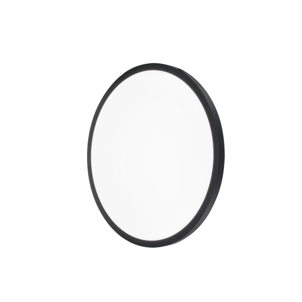 Plafond Aneta Lighting RING 36/600 Ø60 cm, 36 W, svart 