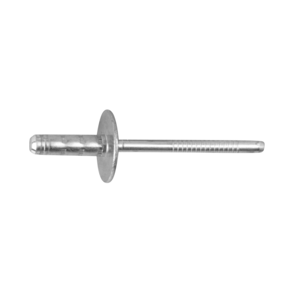 Blindnit Ejot 100921 multigrip, stor skalle, 250-pack 4,8x17,1 mm