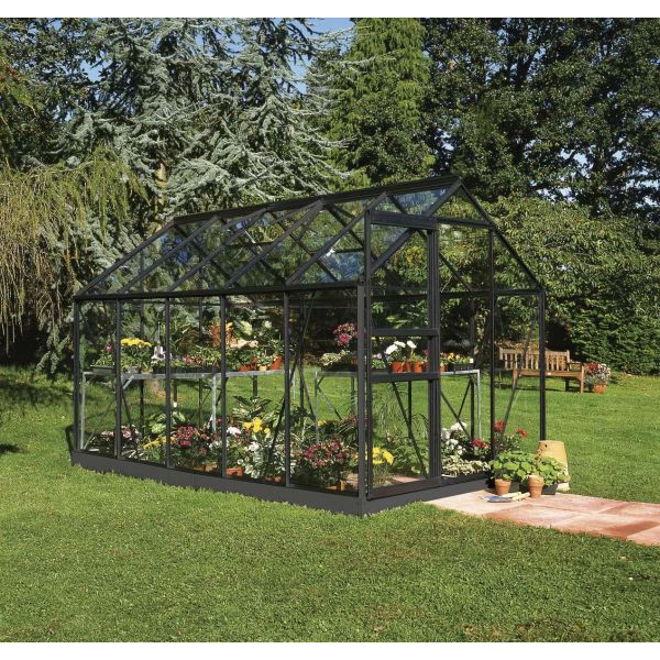 Växthus Halls Popular 106 + F08202 med fundament, 6,2 m², svart 