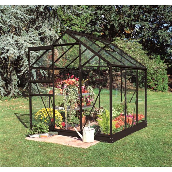 Växthus Halls Popular 66 + SO8171 med fundament, 3,8 m², svart 