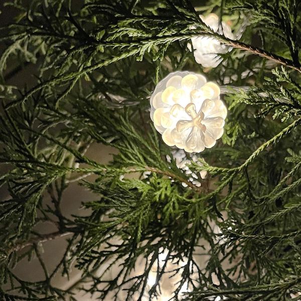 Valosarja LightsOn Pine 5110 käpyjä, 10 m, 50 LEDiä 