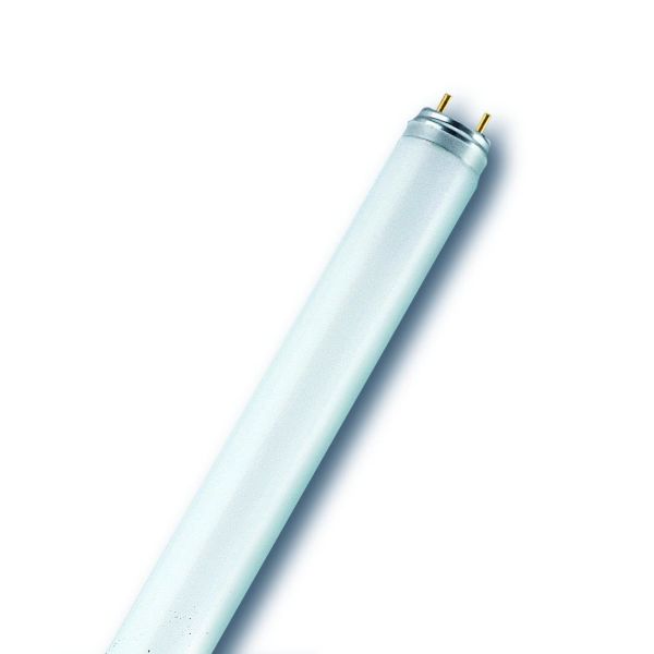 Lysstofrør Osram T8 58W/865 