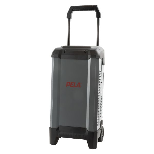 Batterioplader PELA 544069 med starthjælp, 12/24 V, 250 A 
