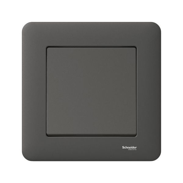 Strömbrytare Schneider Electric Exxact WDE008422 infälld, antracit 1-pol/trapp