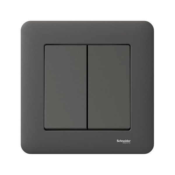 Kytkin Schneider Electric Exxact WDE008417 uppoasennus, antrasiitti 5-kytkin (kruunu)