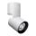 Aneto Mini S SG Armaturen Spotlight 4106509