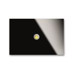 Busch-priOn 6310-0-0108 ABB Painike 3073570