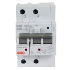 RCBO-AFDD 2P C6A Garo Personvernbryter 4000174