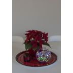 1407-503 Konstsmide Valosarja 3134563