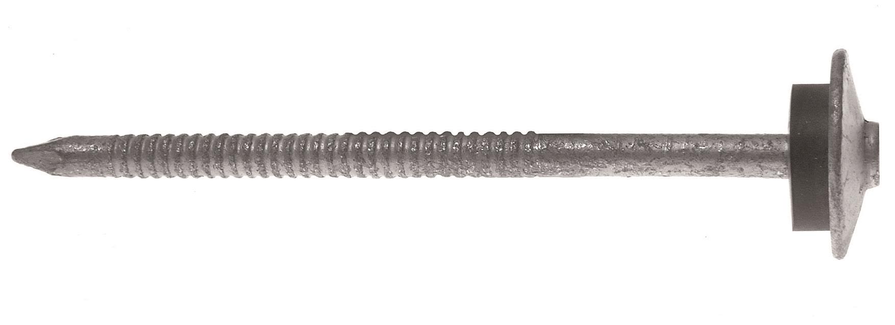Gunnebo Z201481 Klokkespiker 100-pakning, FZV 100 x 3,7 mm, rustfri