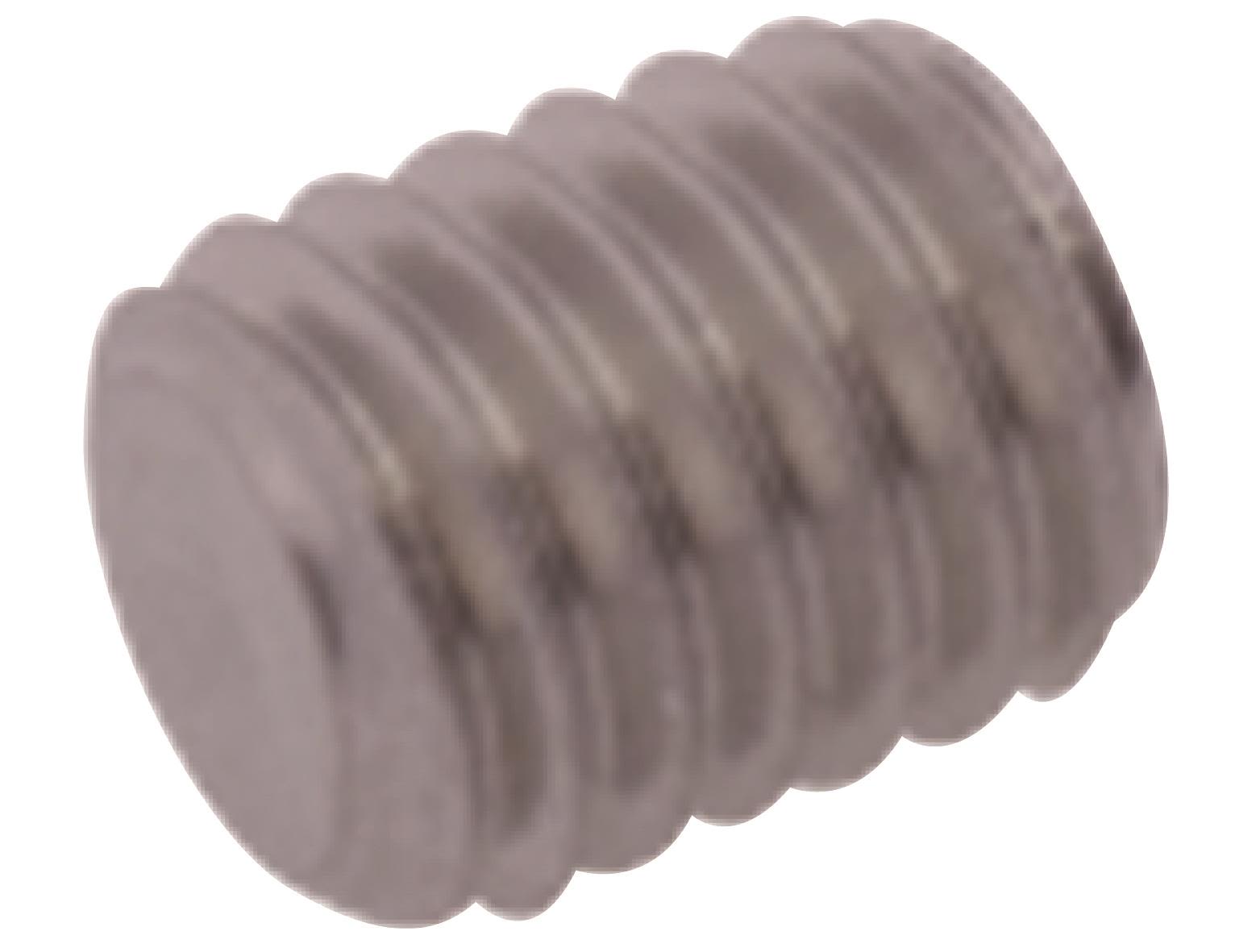 FM Mattsson 3873-1006 Låsskruv M5x6 RF