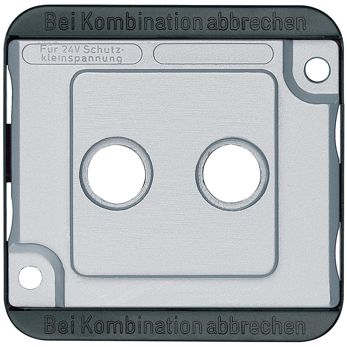 Schneider Electric 294660 Centrumplatta antenn, R/TV