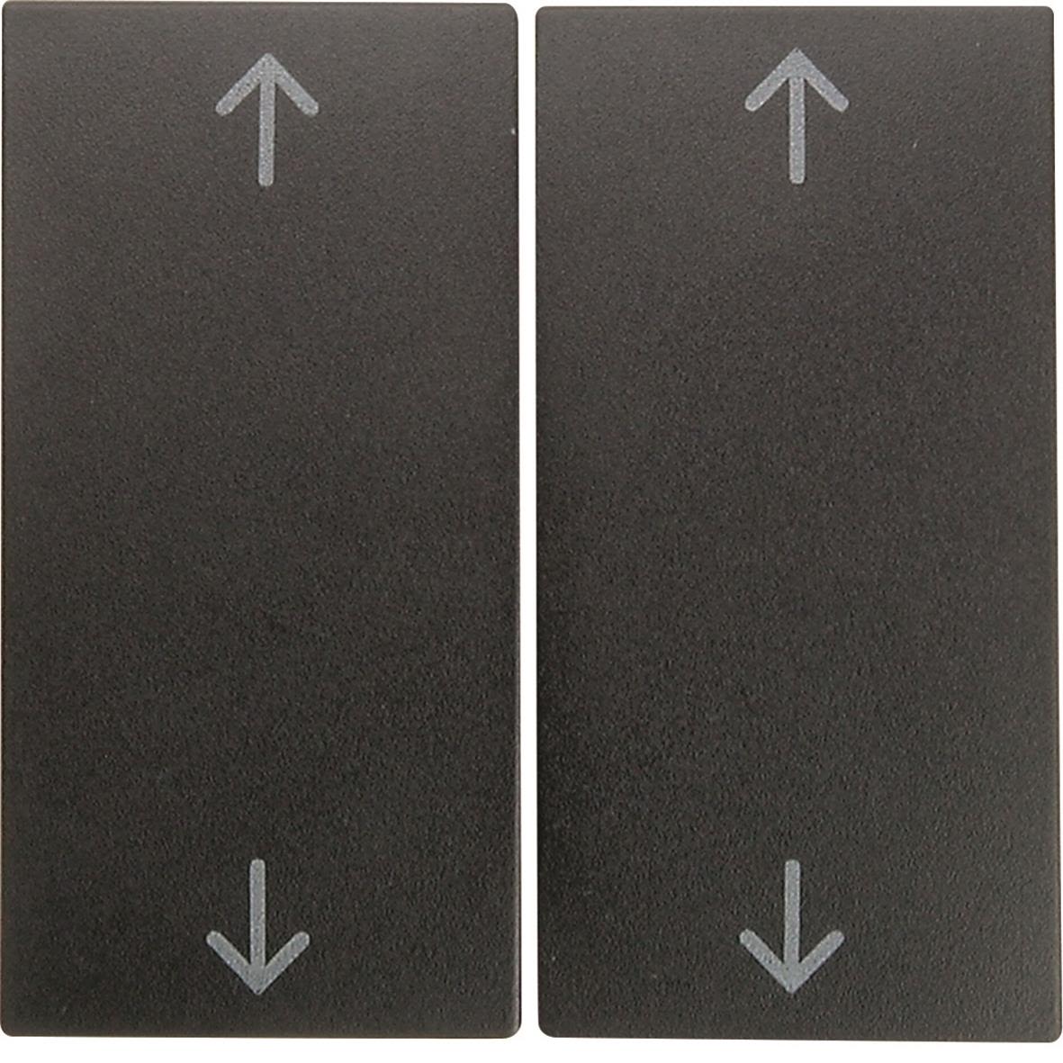 Hager 16441606 Vippa dubbel, 4 pilsymboler Antracit