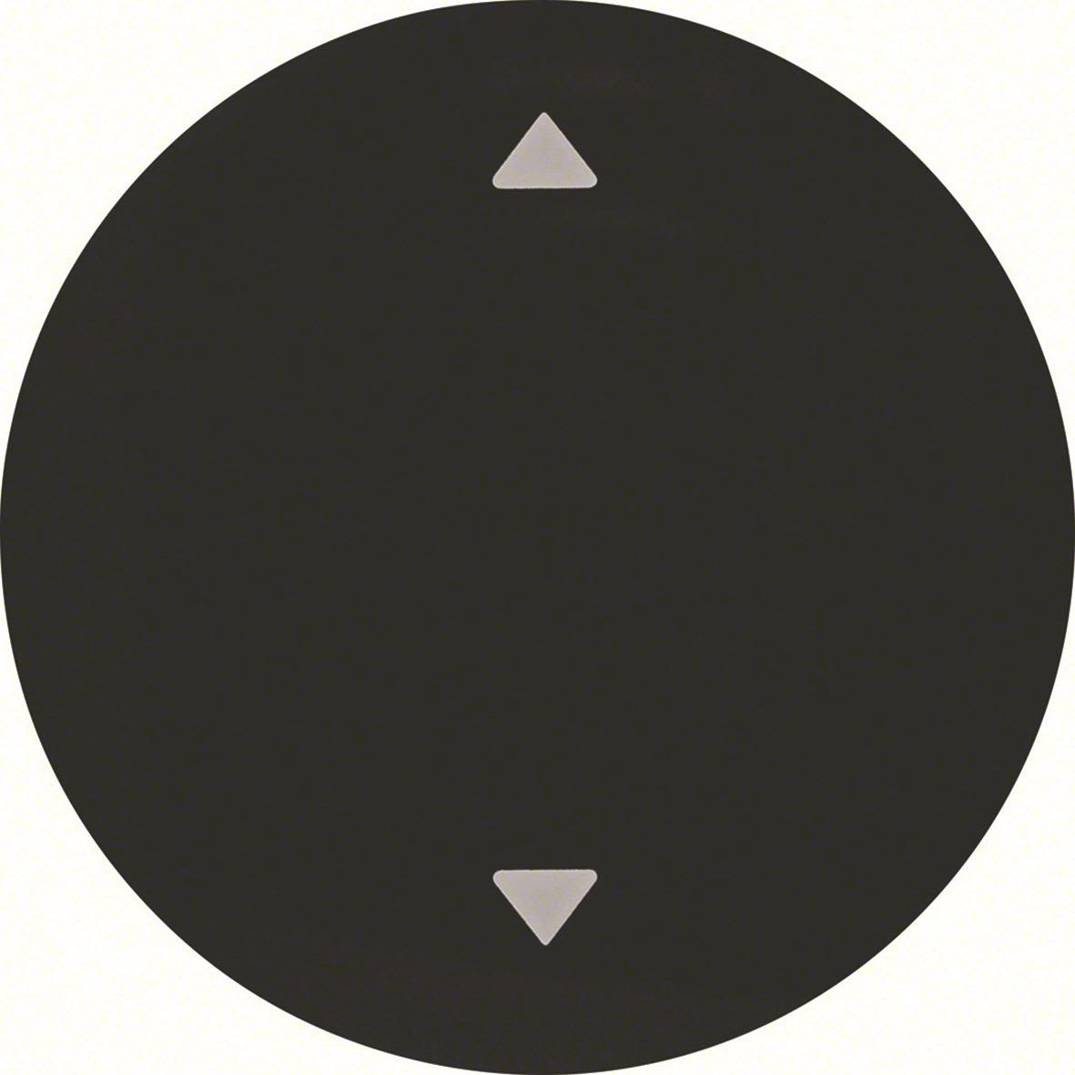 Hager 16202005 Vippa för R.1 och R.3, svart Enkel vippa, symbol 