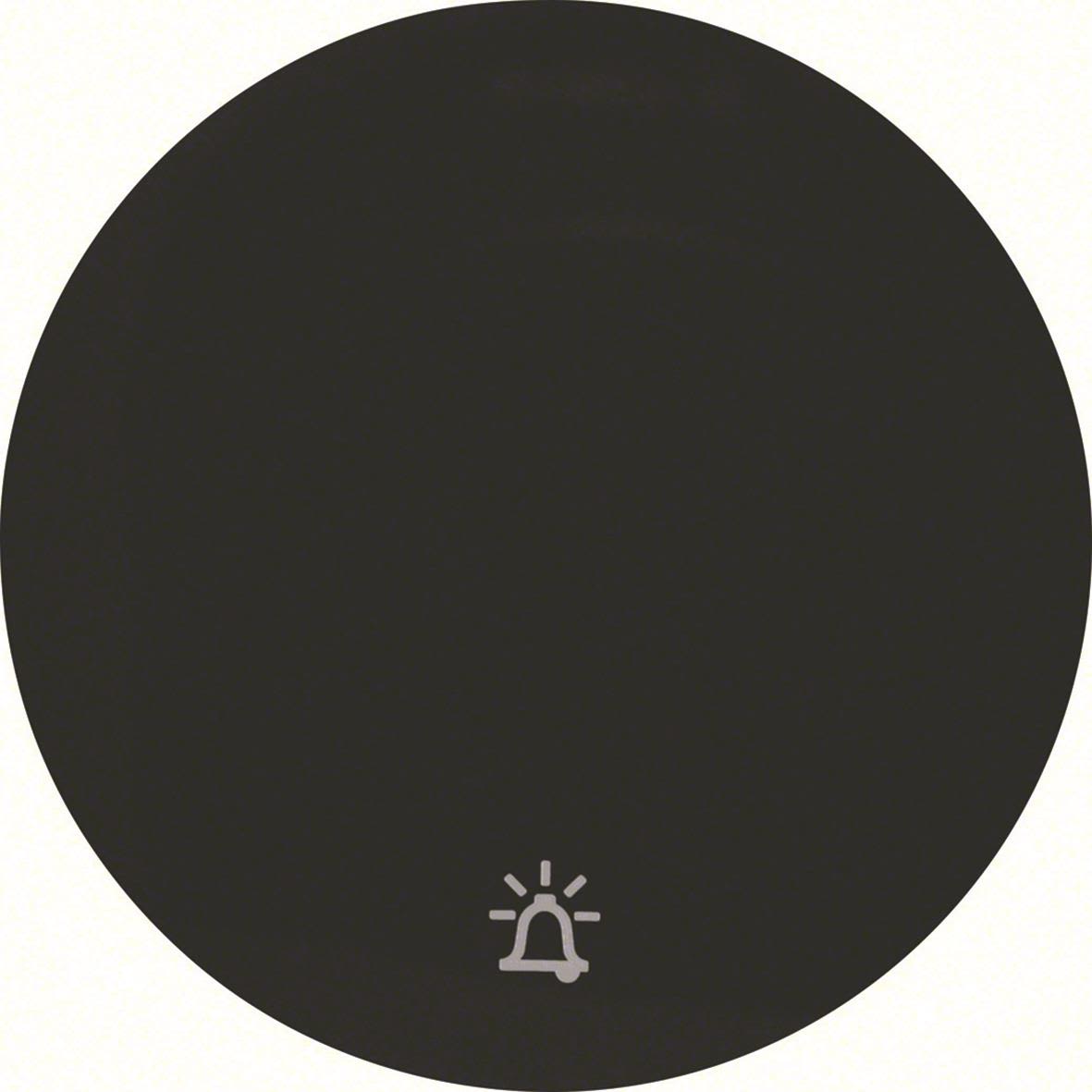 Hager 16202025 Vippa för R.1 och R.3, svart Enkel vippa, symbol 