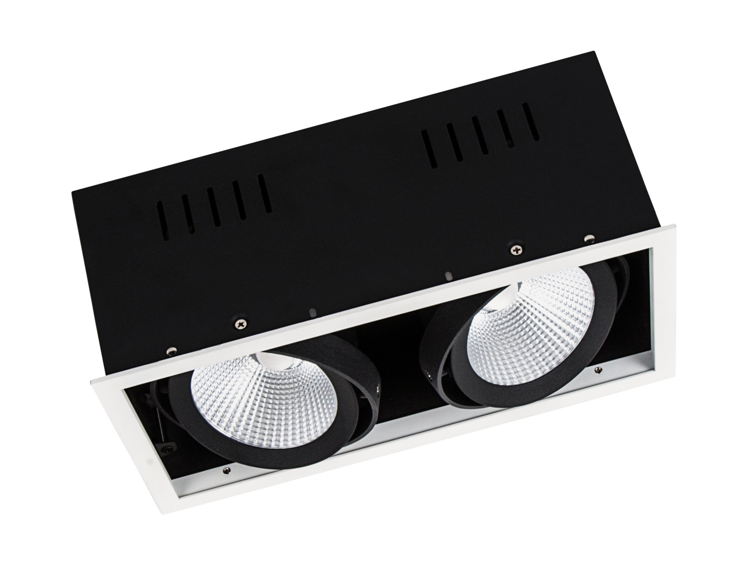 LEDVANCE Spot Multi Spotlight 2x30 W, 38° 4000K