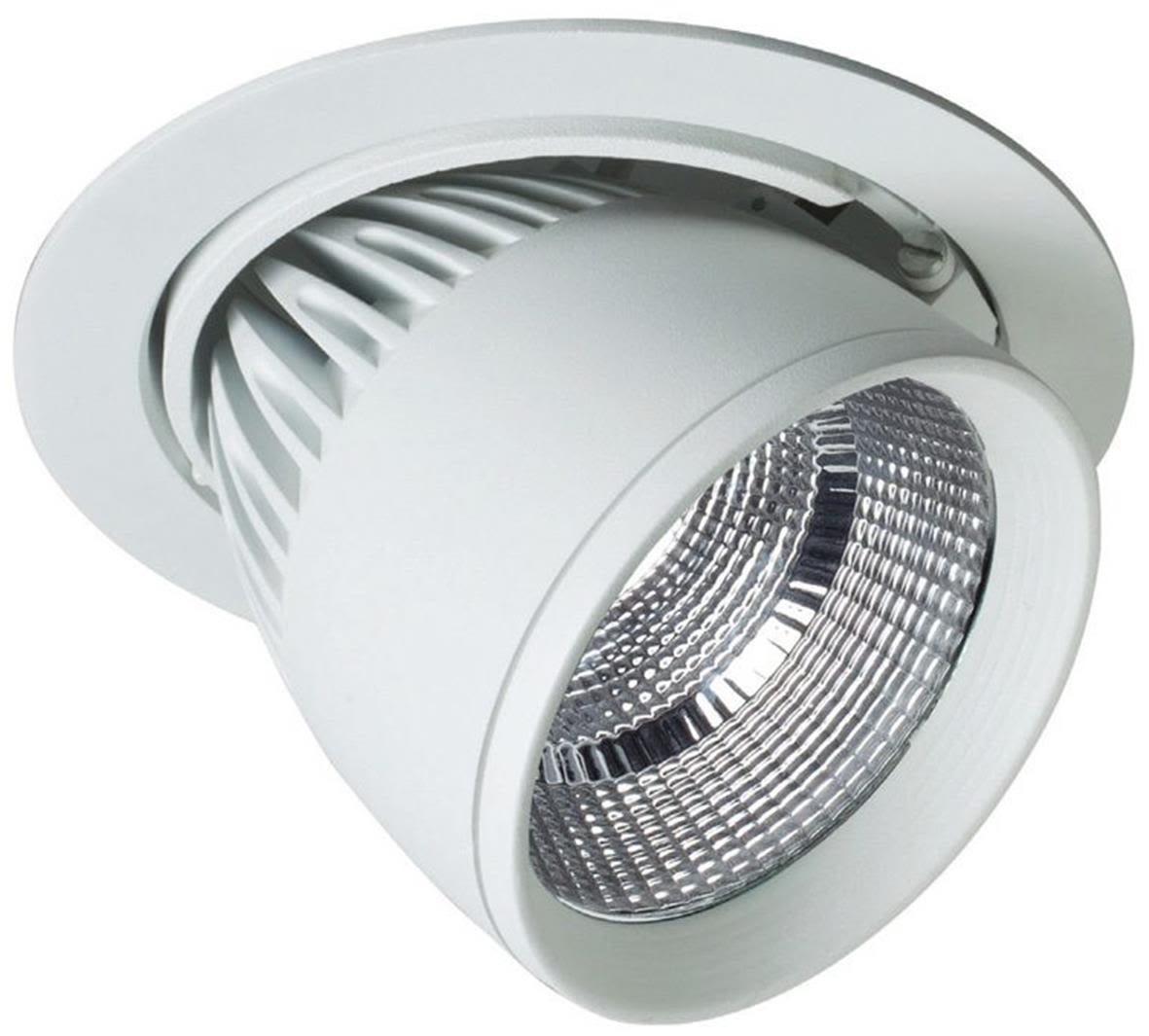 Easyform R-Flex Downlight 30W, vit 3000K
