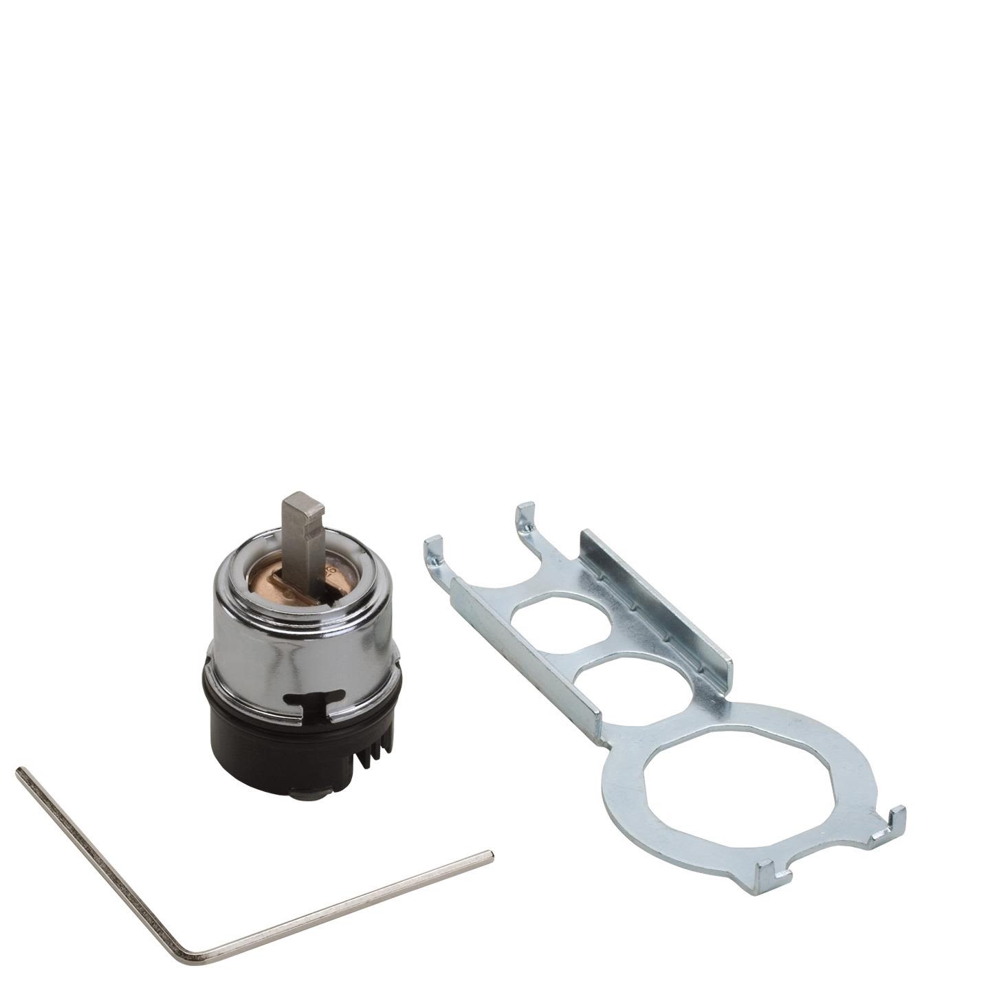 Hansgrohe 14095000 Innsats