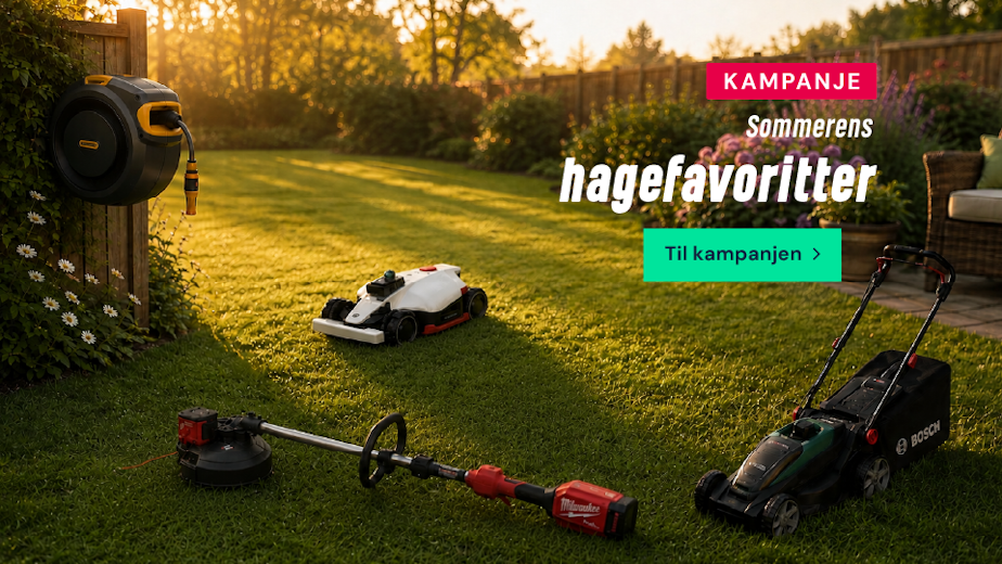 Sommerens hagefavoritter