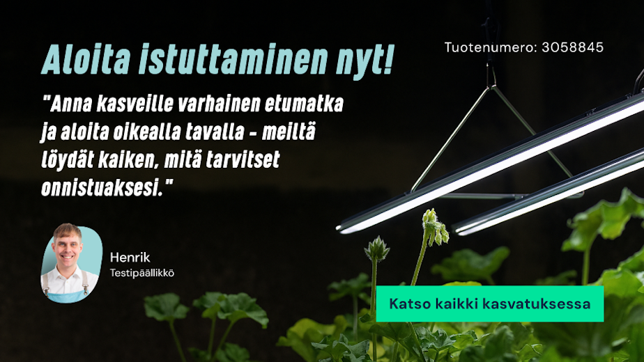 Katso kaikki kasvatuksessa