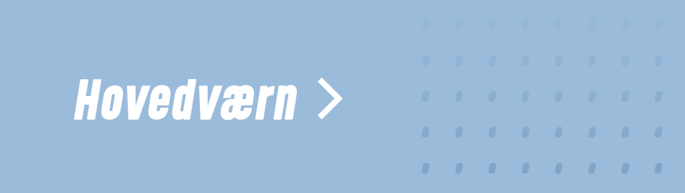 Hovedværn