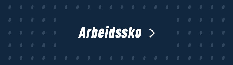 Arbeidssko