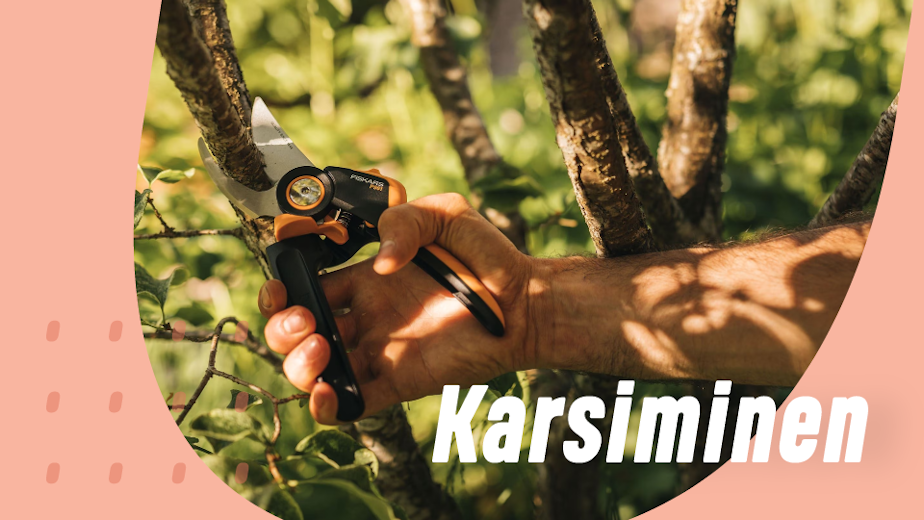 https://www.staypro.fi/puutarha-karsiminen
