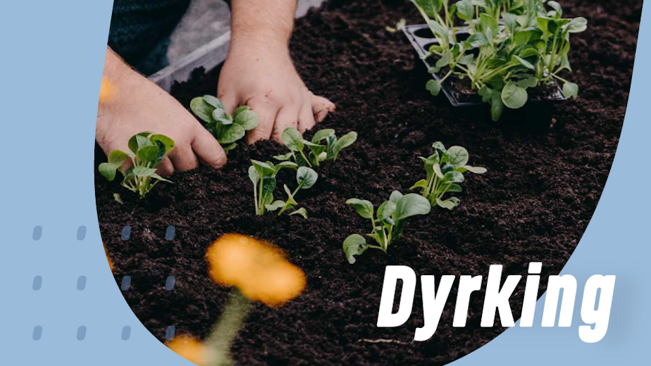 https://www.staypro.no/hage-dyrking
