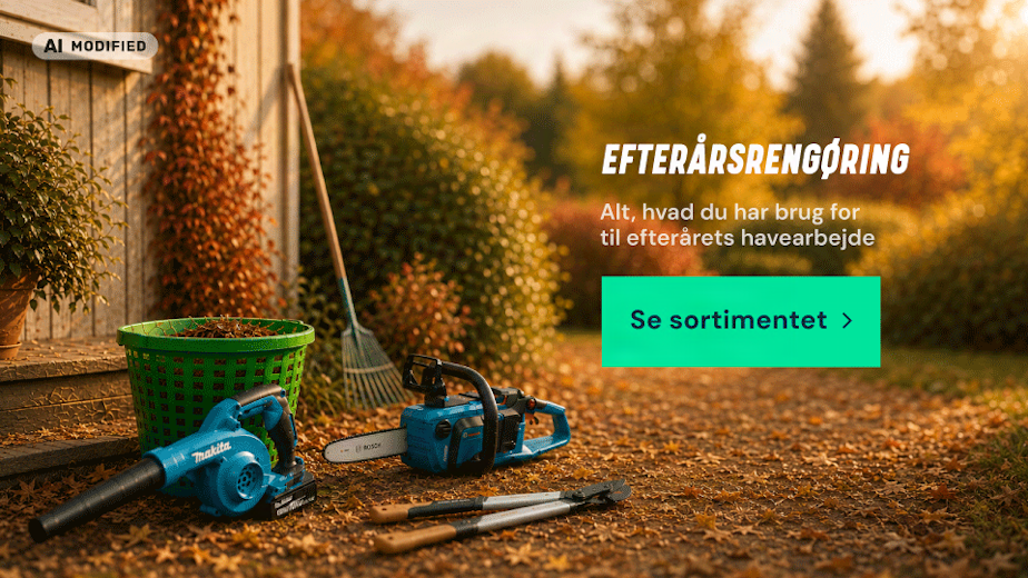 Efterårsrengøring