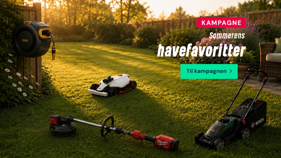 Sommerens havefavoritter
