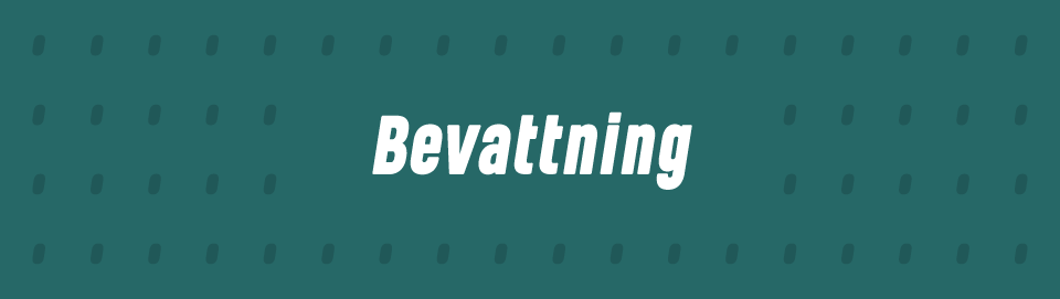 Bevattning
