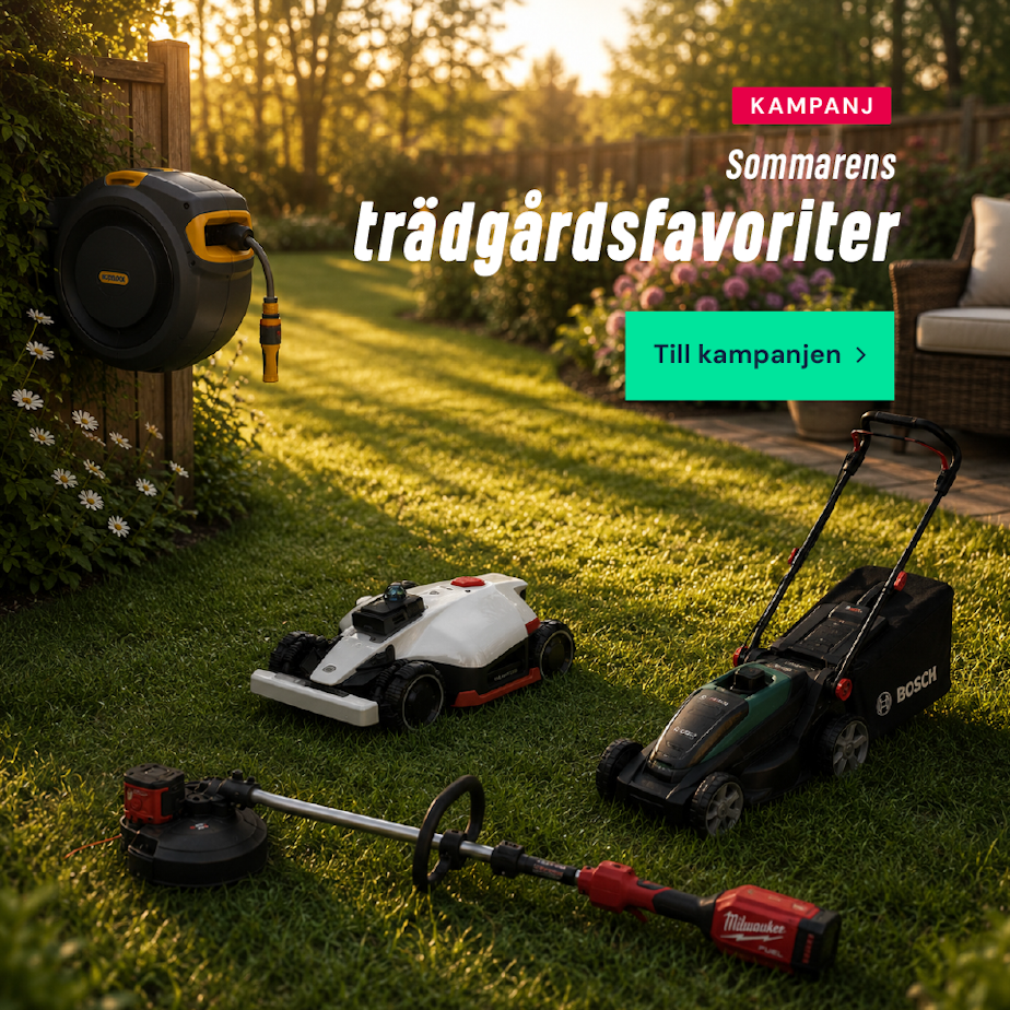 Sommarens trädgårdsfavoriter