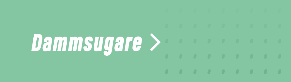 Dammsugare