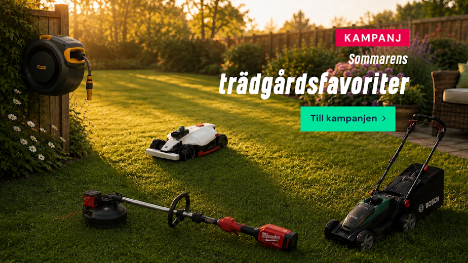 Sommarens trädgårdsfavoriter