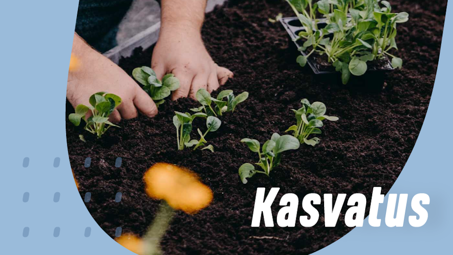 https://www.staypro.fi/puutarha-kasvatus
