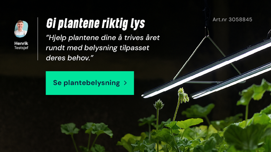 Gi plantene riktig lys