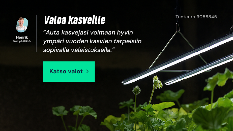 Valoa kasveille